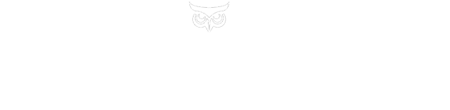 cropped-webwise-towns-logo-no-drop