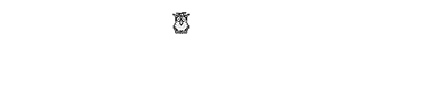 WebWise Design & Marketing